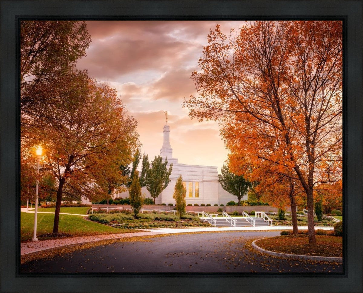 Palmyra Autumn