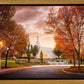 Palmyra Autumn