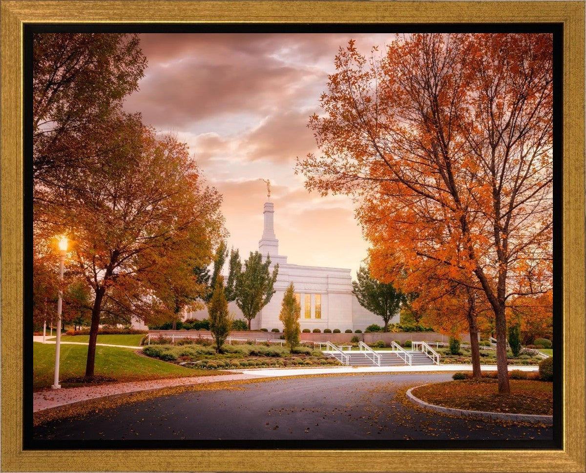 Palmyra Autumn