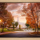 Palmyra Autumn