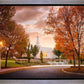 Palmyra Autumn