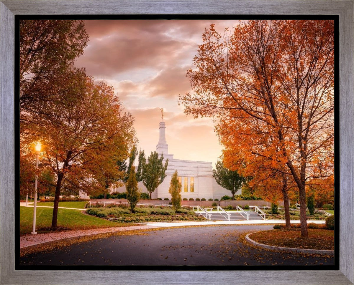 Palmyra Autumn