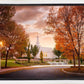 Palmyra Autumn