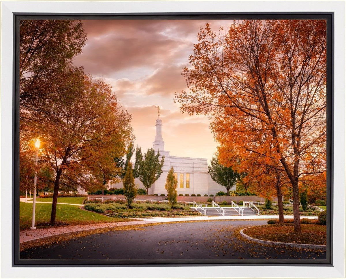 Palmyra Autumn
