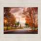 Palmyra Autumn