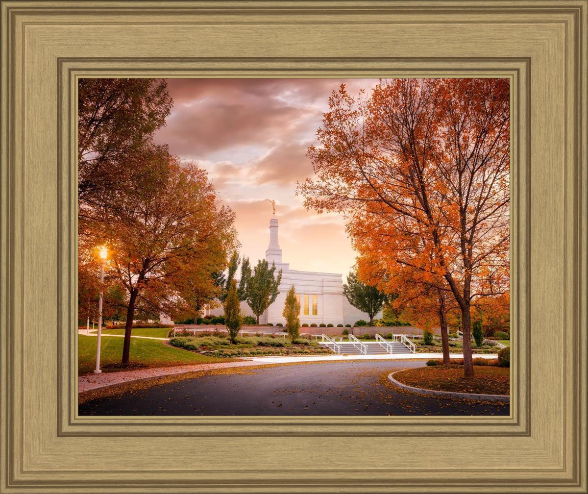 Palmyra Autumn