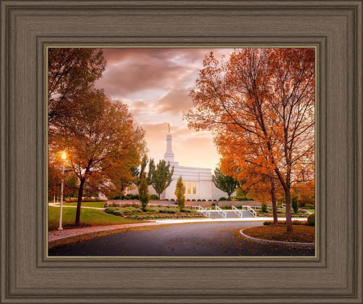 Palmyra Autumn