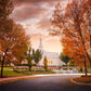 Palmyra Autumn