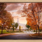 Palmyra Autumn