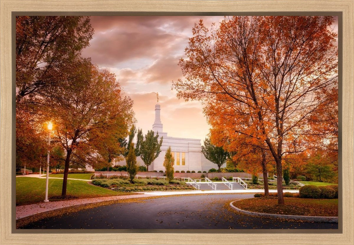 Palmyra Autumn