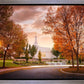 Palmyra Autumn