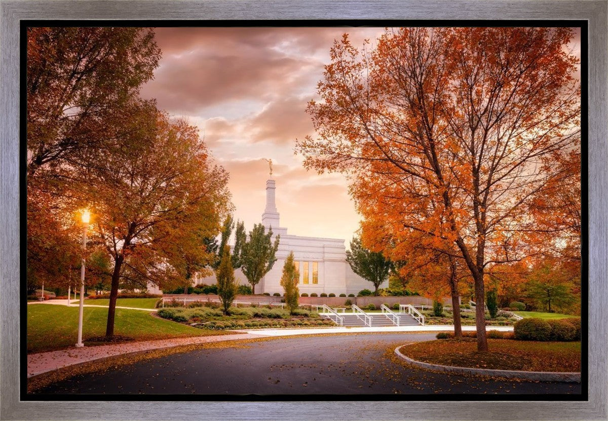 Palmyra Autumn