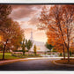 Palmyra Autumn