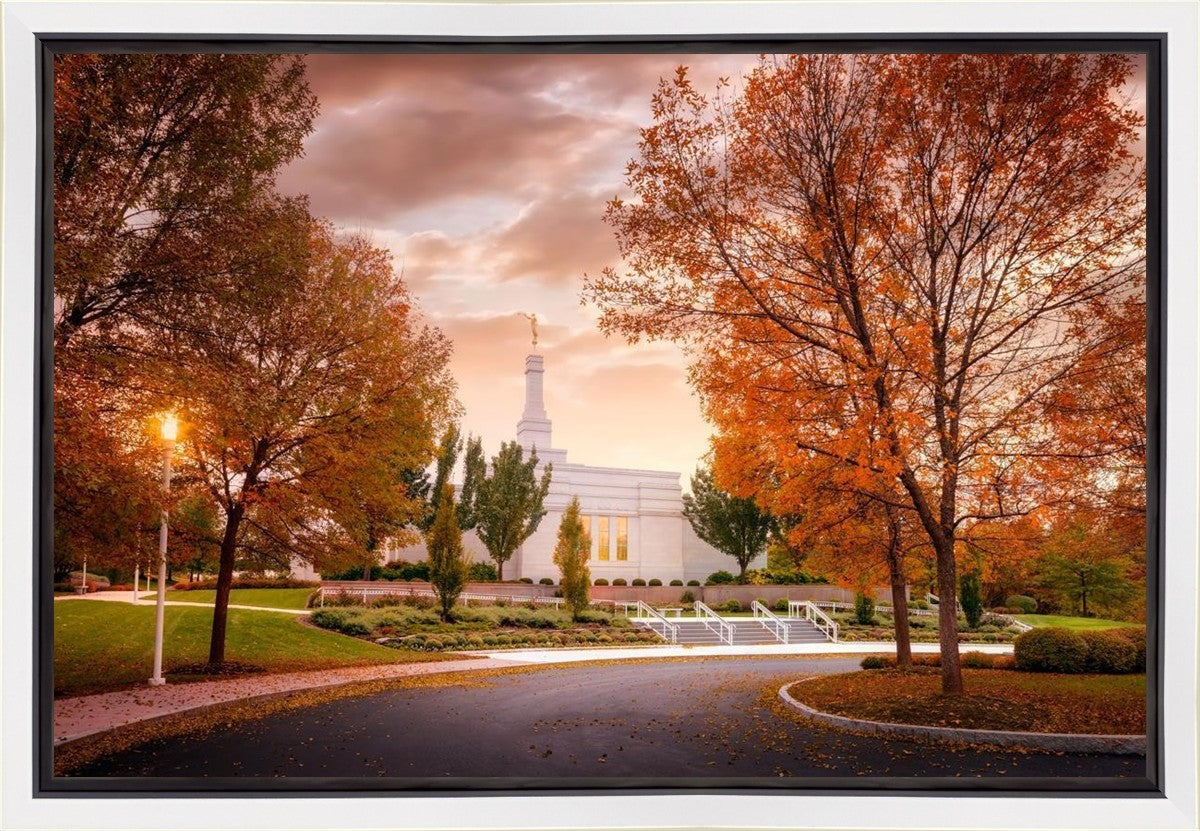Palmyra Autumn