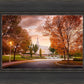 Palmyra Autumn