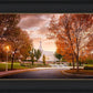 Palmyra Autumn