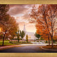 Palmyra Autumn