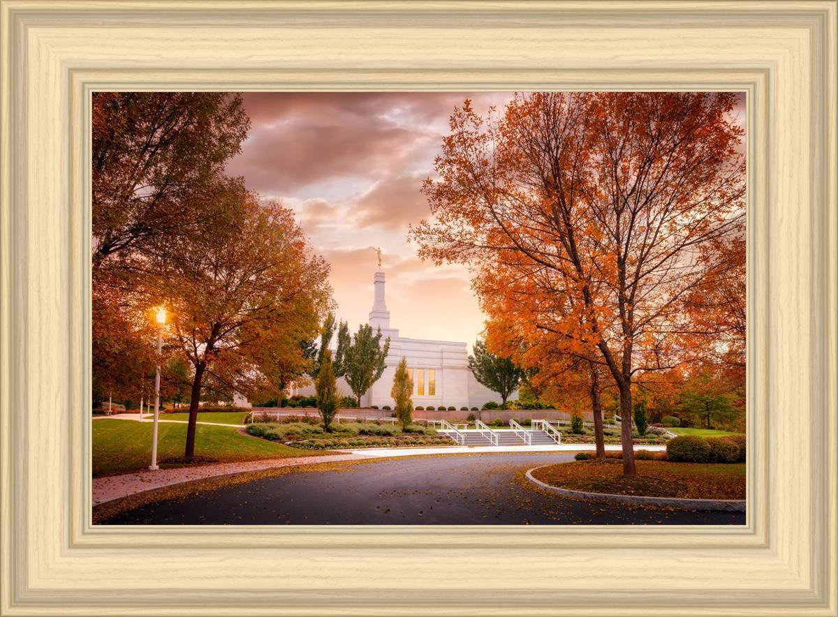 Palmyra Autumn