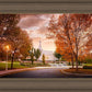 Palmyra Autumn
