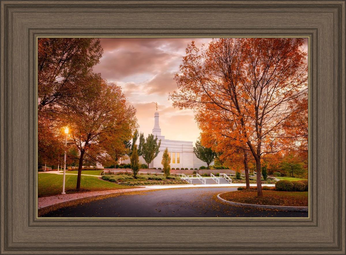 Palmyra Autumn