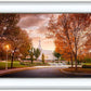 Palmyra Autumn