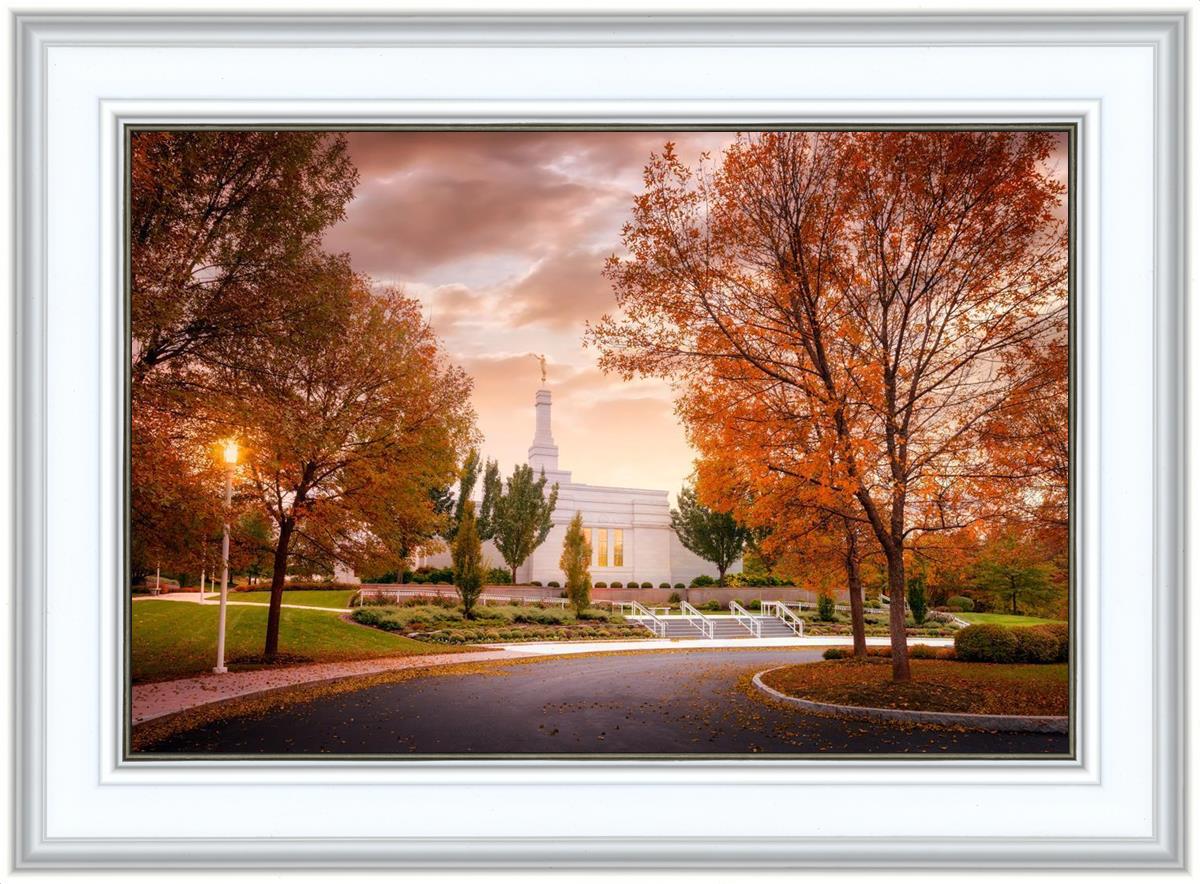 Palmyra Autumn
