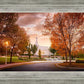 Palmyra Autumn
