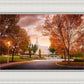 Palmyra Autumn