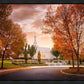 Palmyra Autumn