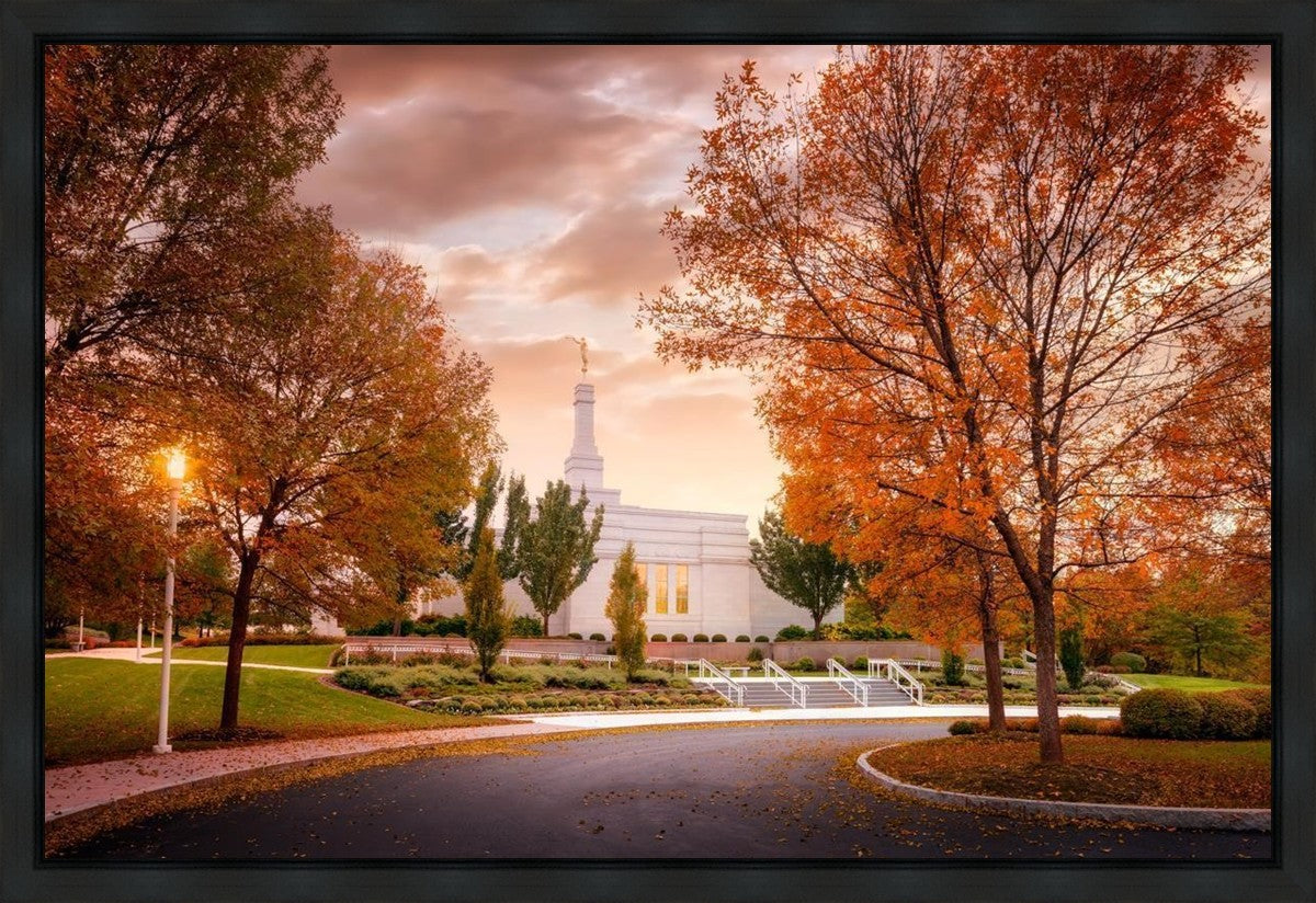 Palmyra Autumn