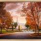 Palmyra Autumn