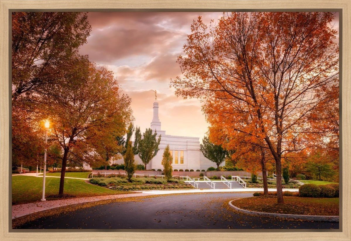 Palmyra Autumn