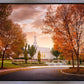 Palmyra Autumn