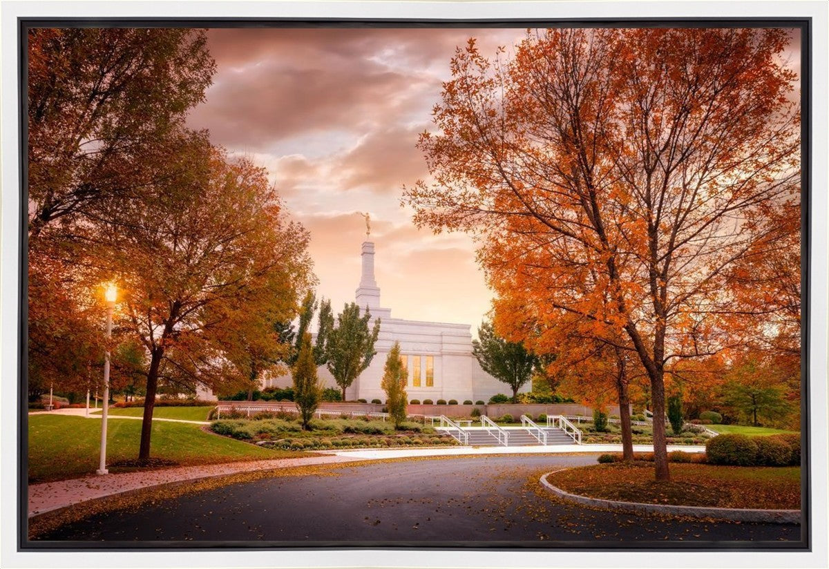 Palmyra Autumn