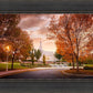 Palmyra Autumn