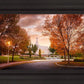 Palmyra Autumn