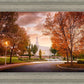 Palmyra Autumn