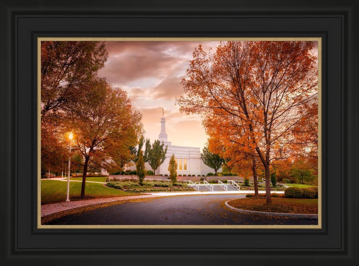 Palmyra Autumn