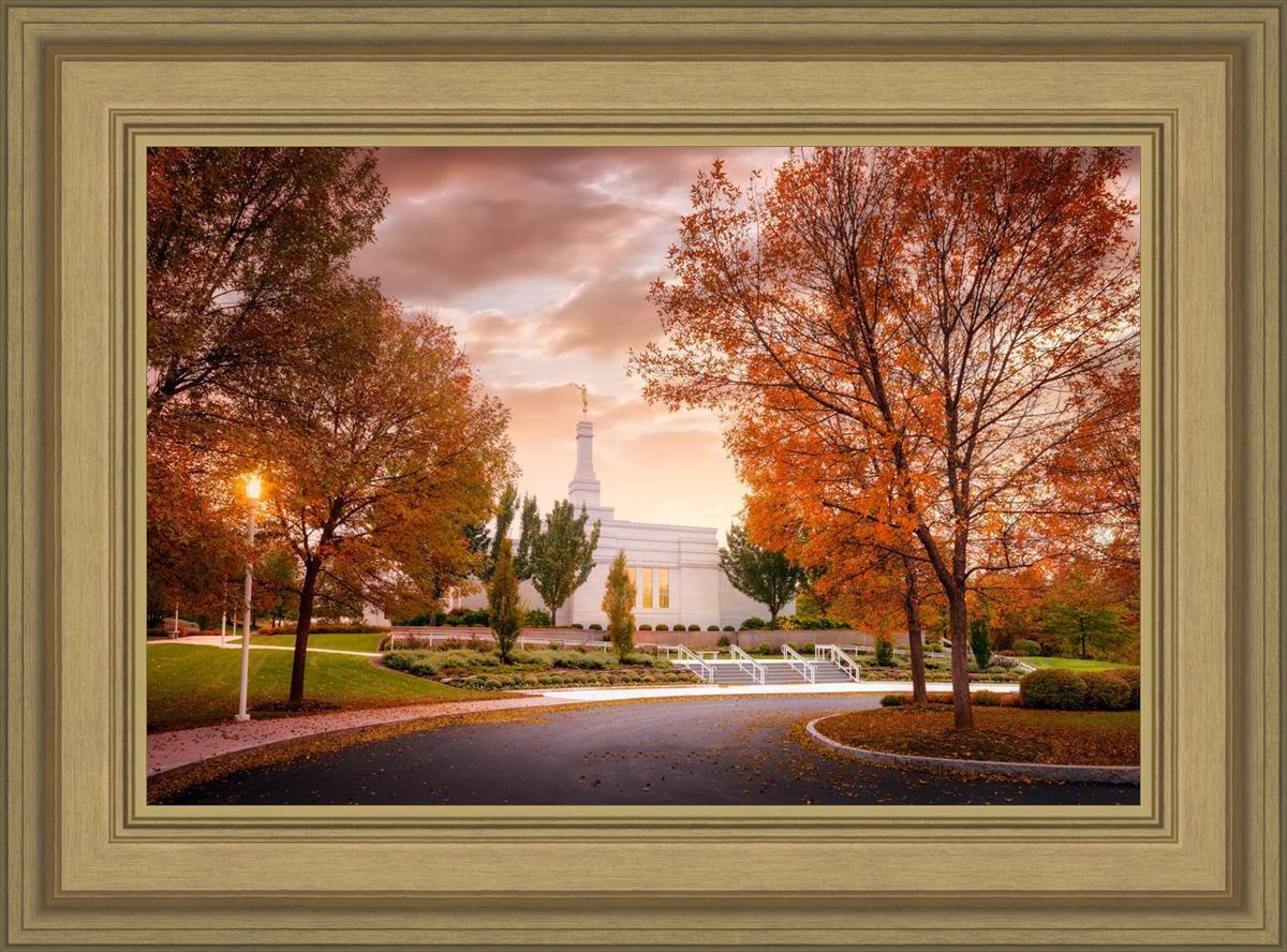 Palmyra Autumn