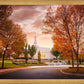 Palmyra Autumn