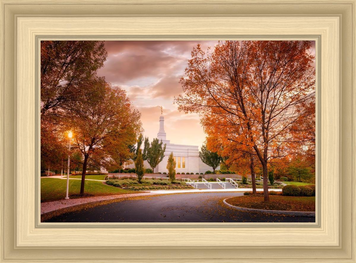 Palmyra Autumn