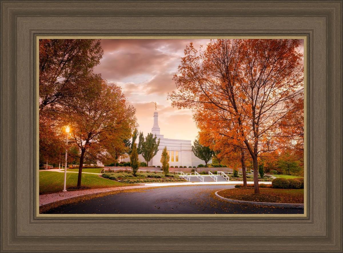 Palmyra Autumn