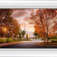 Palmyra Autumn