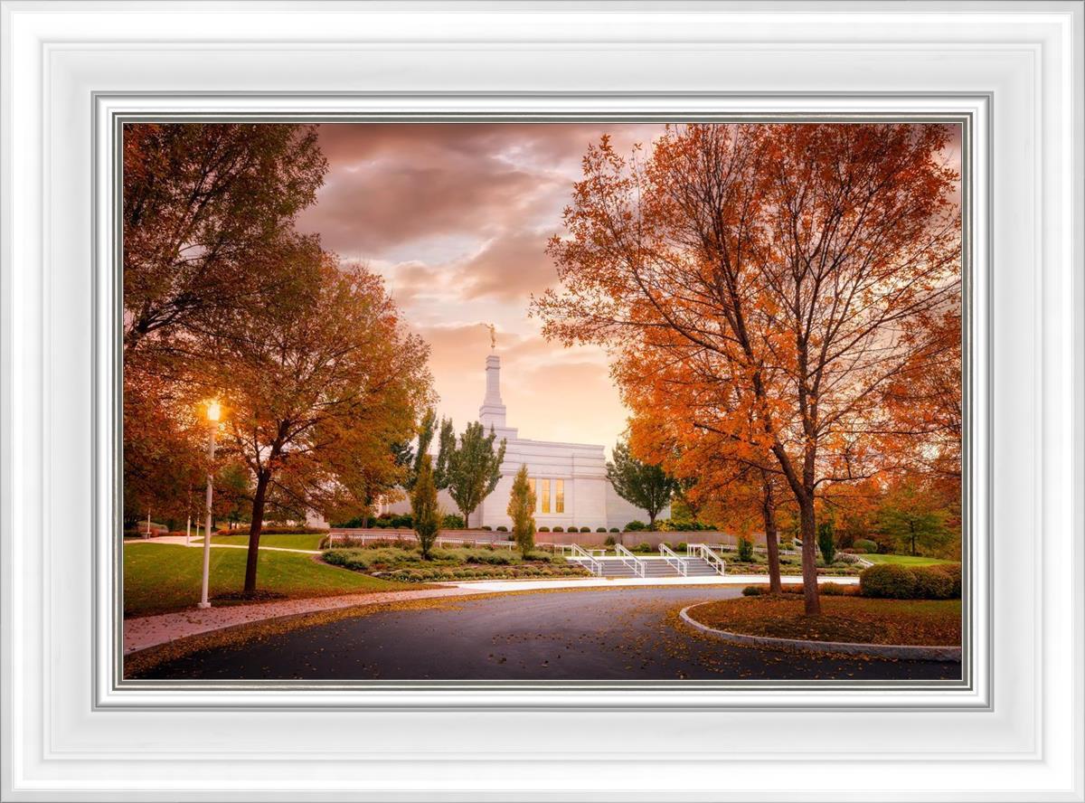 Palmyra Autumn