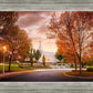 Palmyra Autumn
