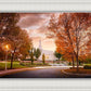 Palmyra Autumn