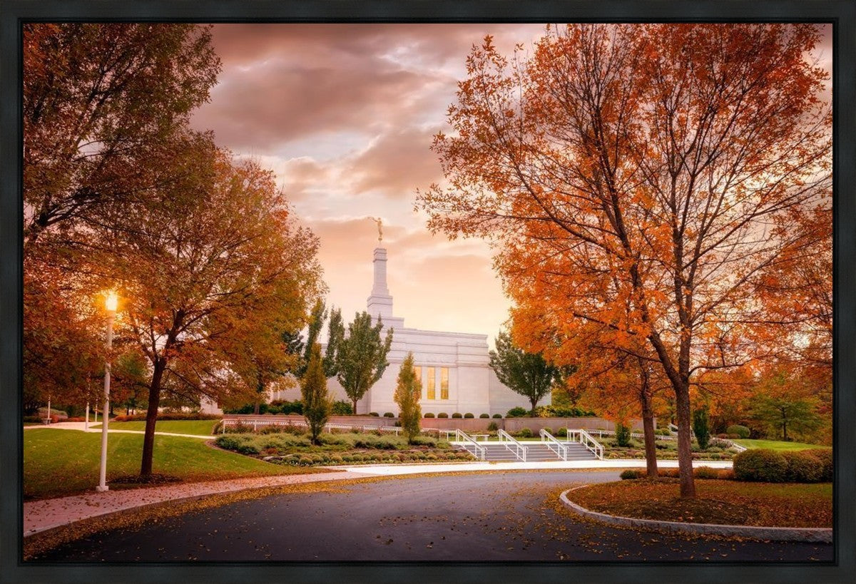 Palmyra Autumn