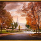 Palmyra Autumn