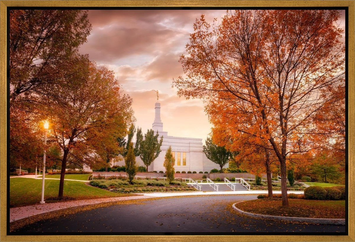 Palmyra Autumn