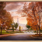 Palmyra Autumn